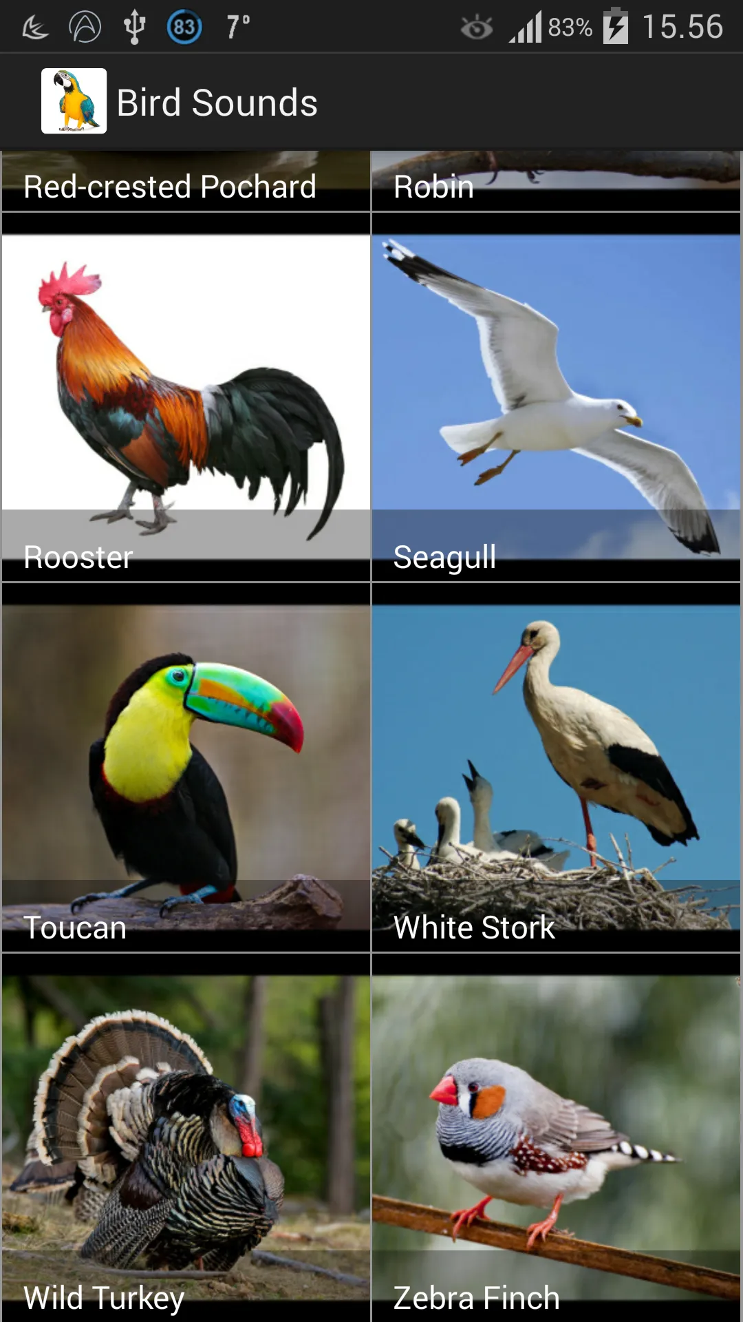 Bird Sounds | Indus Appstore | Screenshot