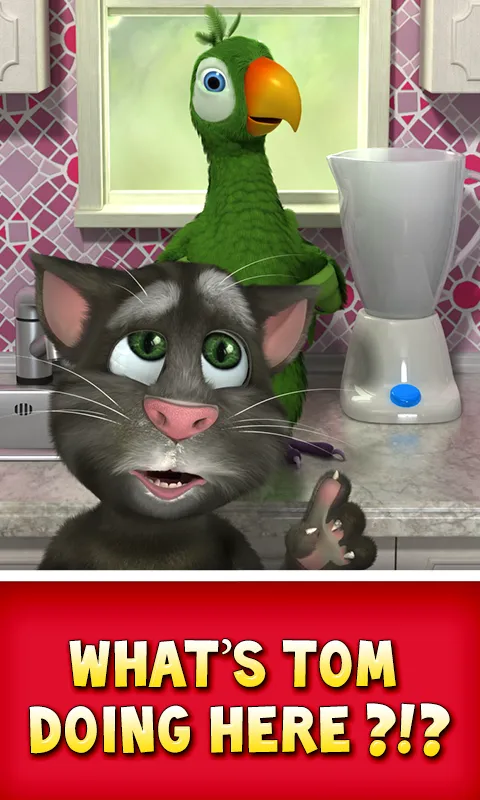 Talking Pierre the Parrot | Indus Appstore | Screenshot