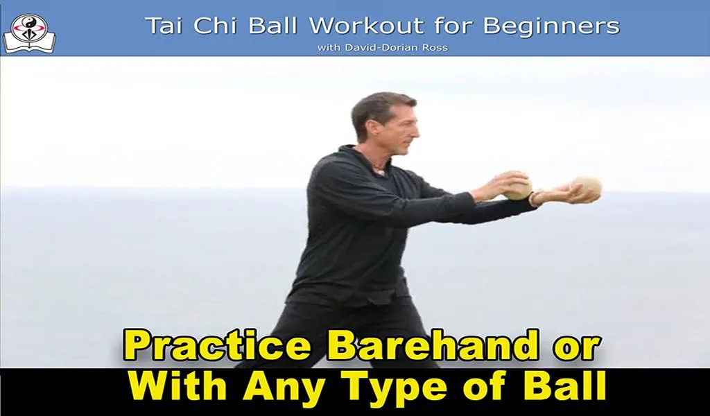 Tai Chi Ball Beginner | Indus Appstore | Screenshot