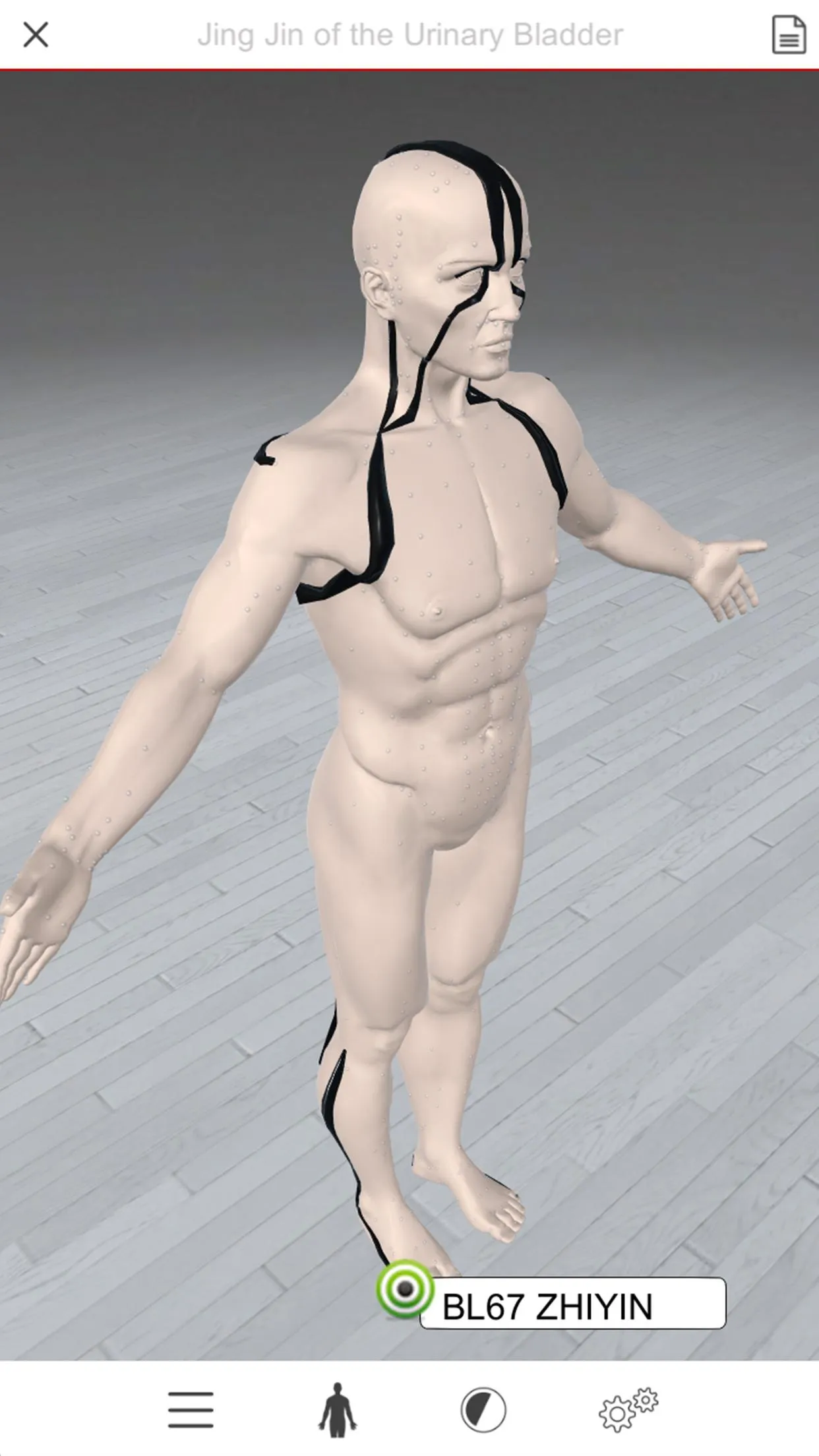 Acupuncture 3D | Indus Appstore | Screenshot