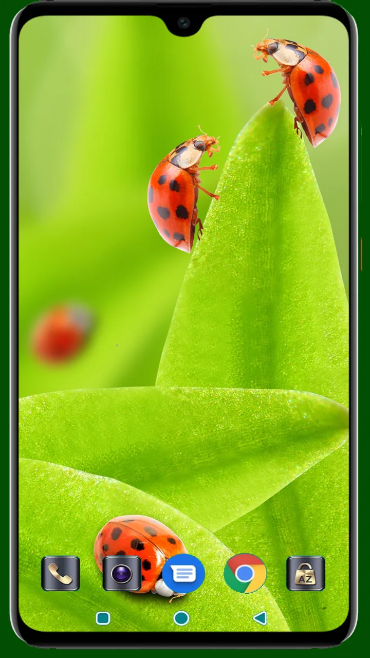 Lady Bug Wallpaper | Indus Appstore | Screenshot