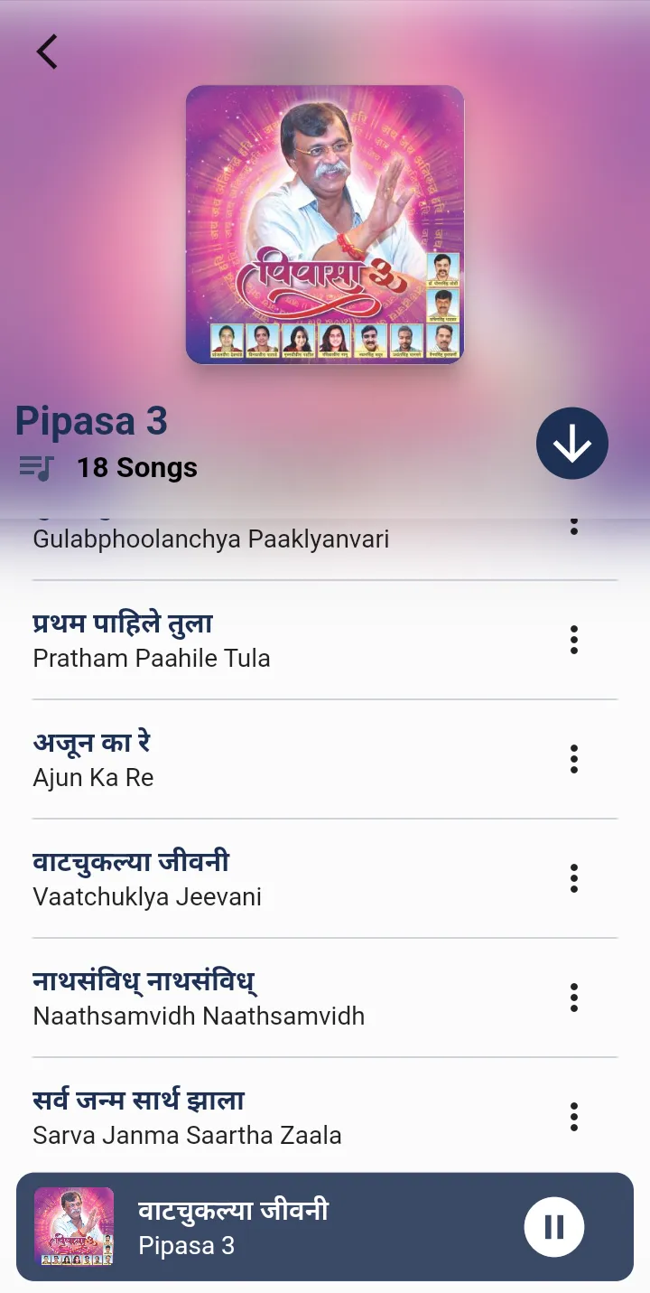 Aniruddha Bhajan Music | Indus Appstore | Screenshot