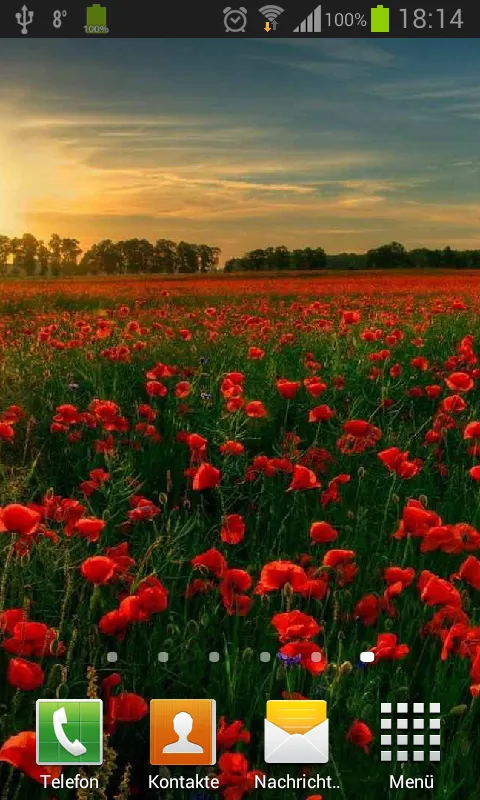 Poppies live wallpaper | Indus Appstore | Screenshot