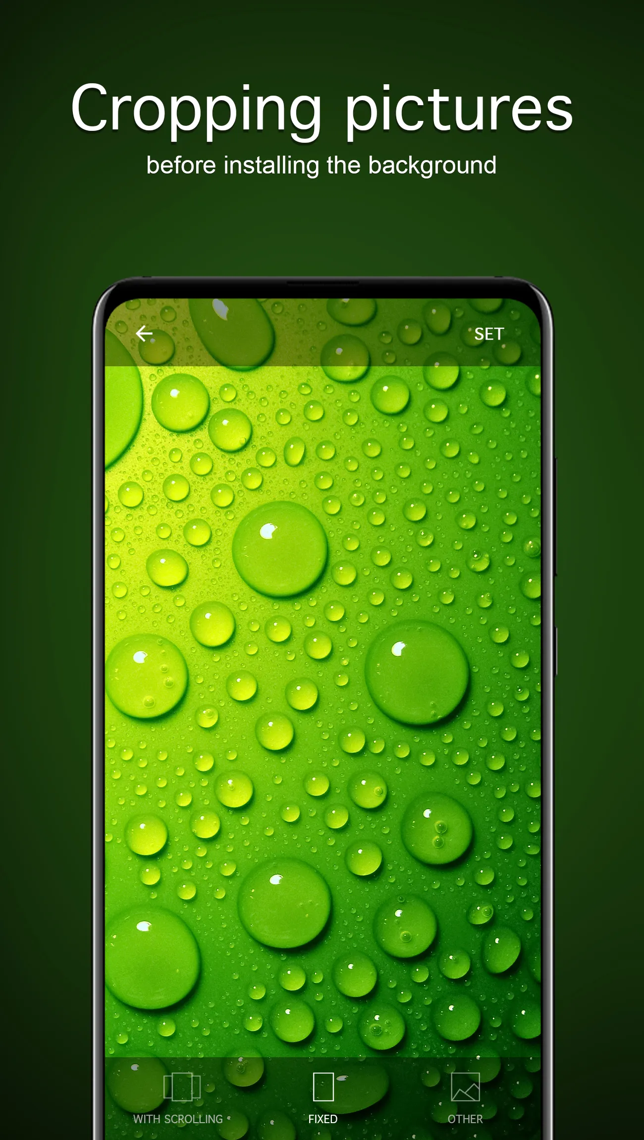 Green Wallpapers 4K | Indus Appstore | Screenshot