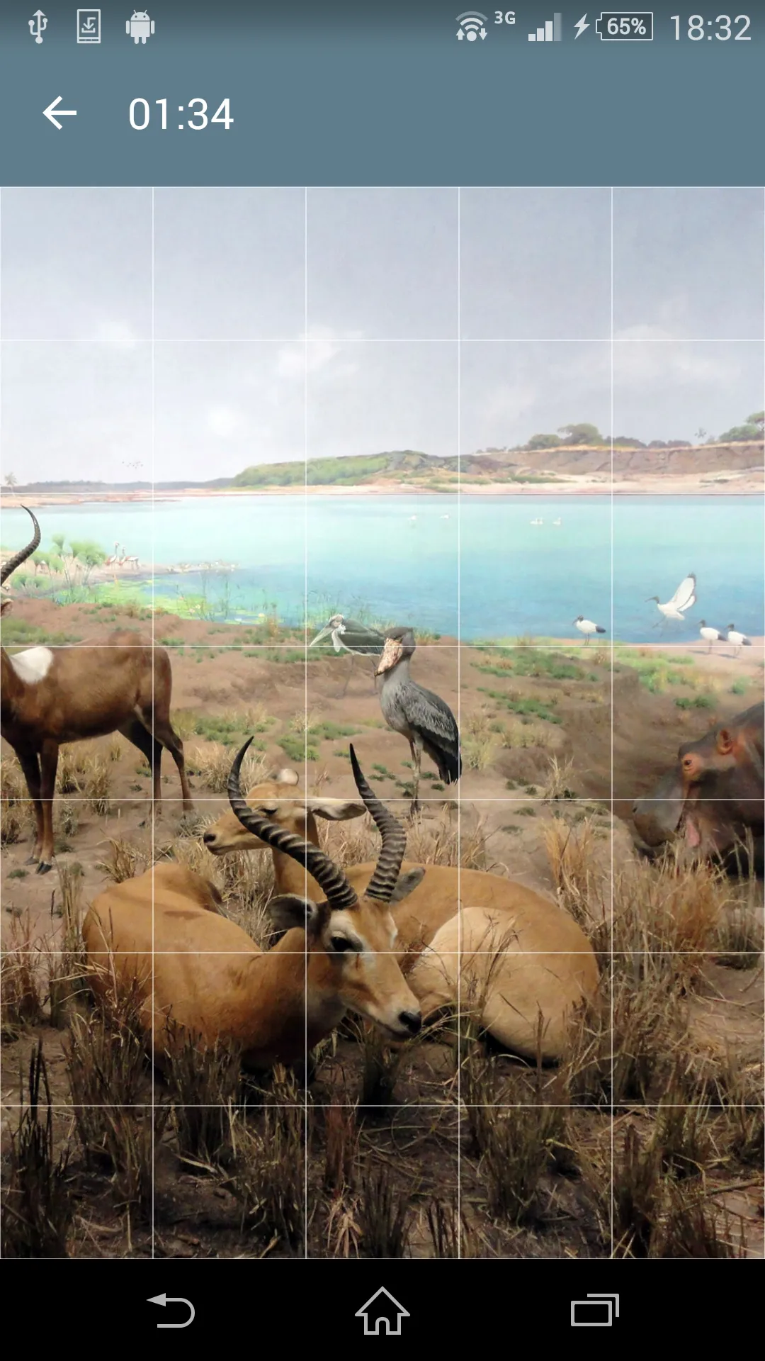 Jigsaw Puzzle: Animals | Indus Appstore | Screenshot