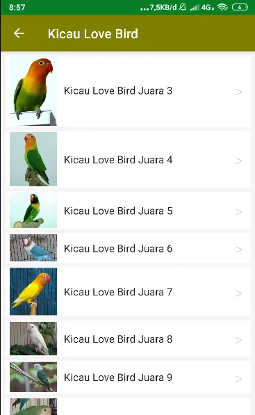 Suara Kicau Love Bird Juara | Indus Appstore | Screenshot