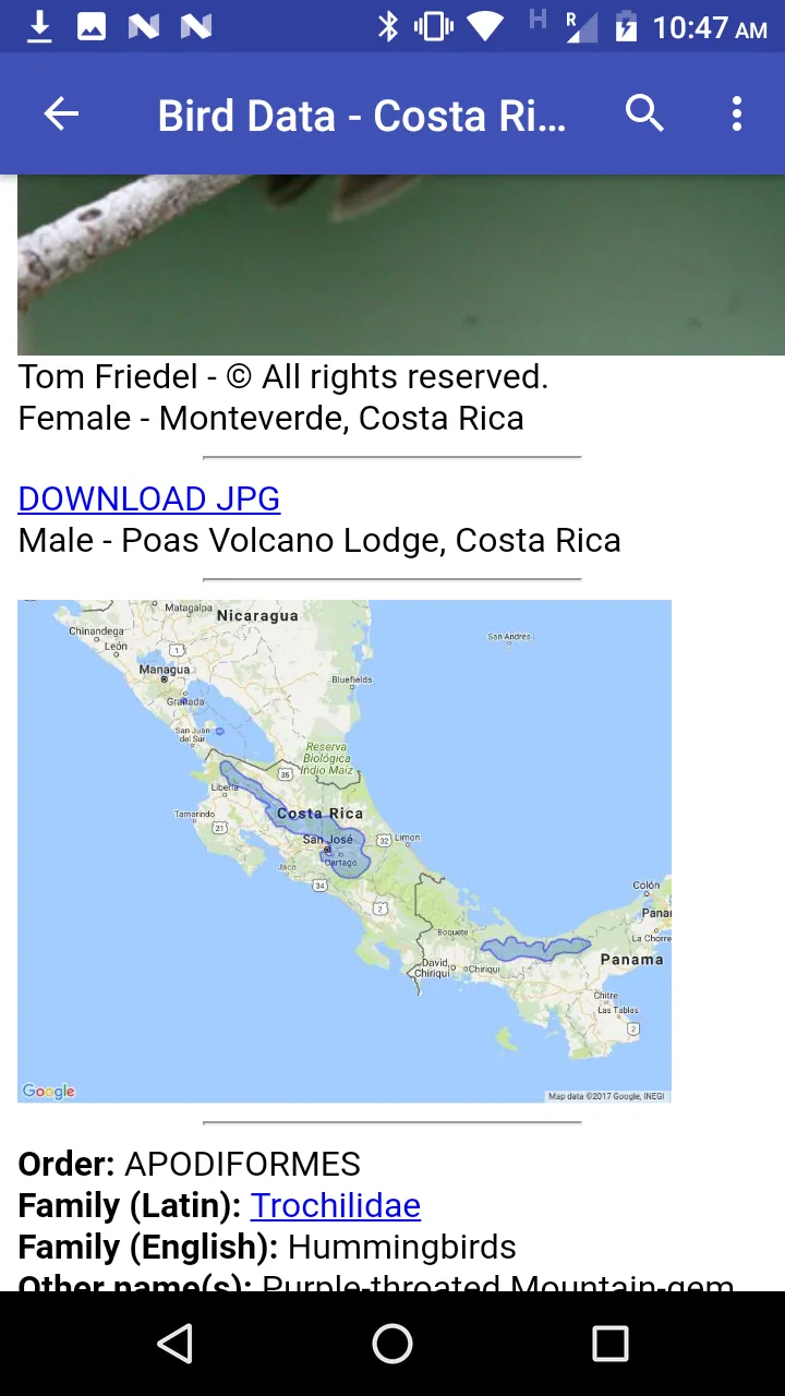 Bird Data - Costa Rica | Indus Appstore | Screenshot