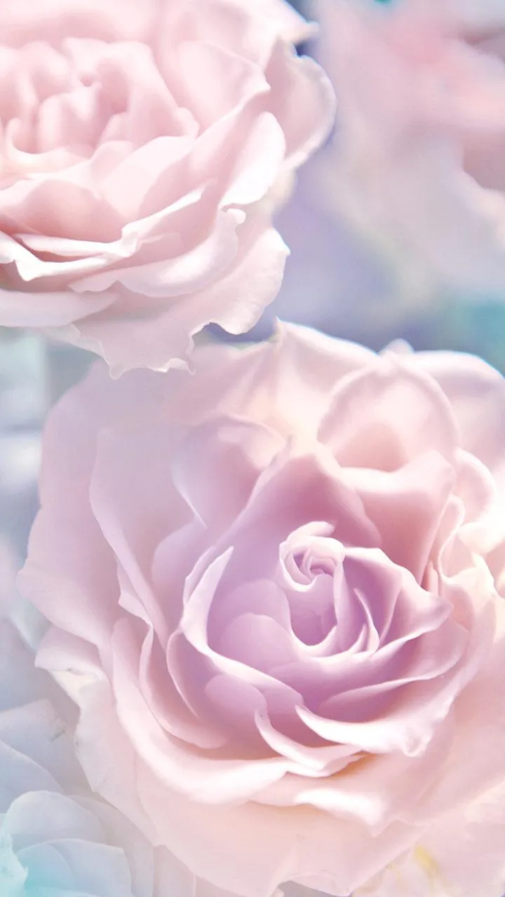 Rose Live Wallpaper | Indus Appstore | Screenshot