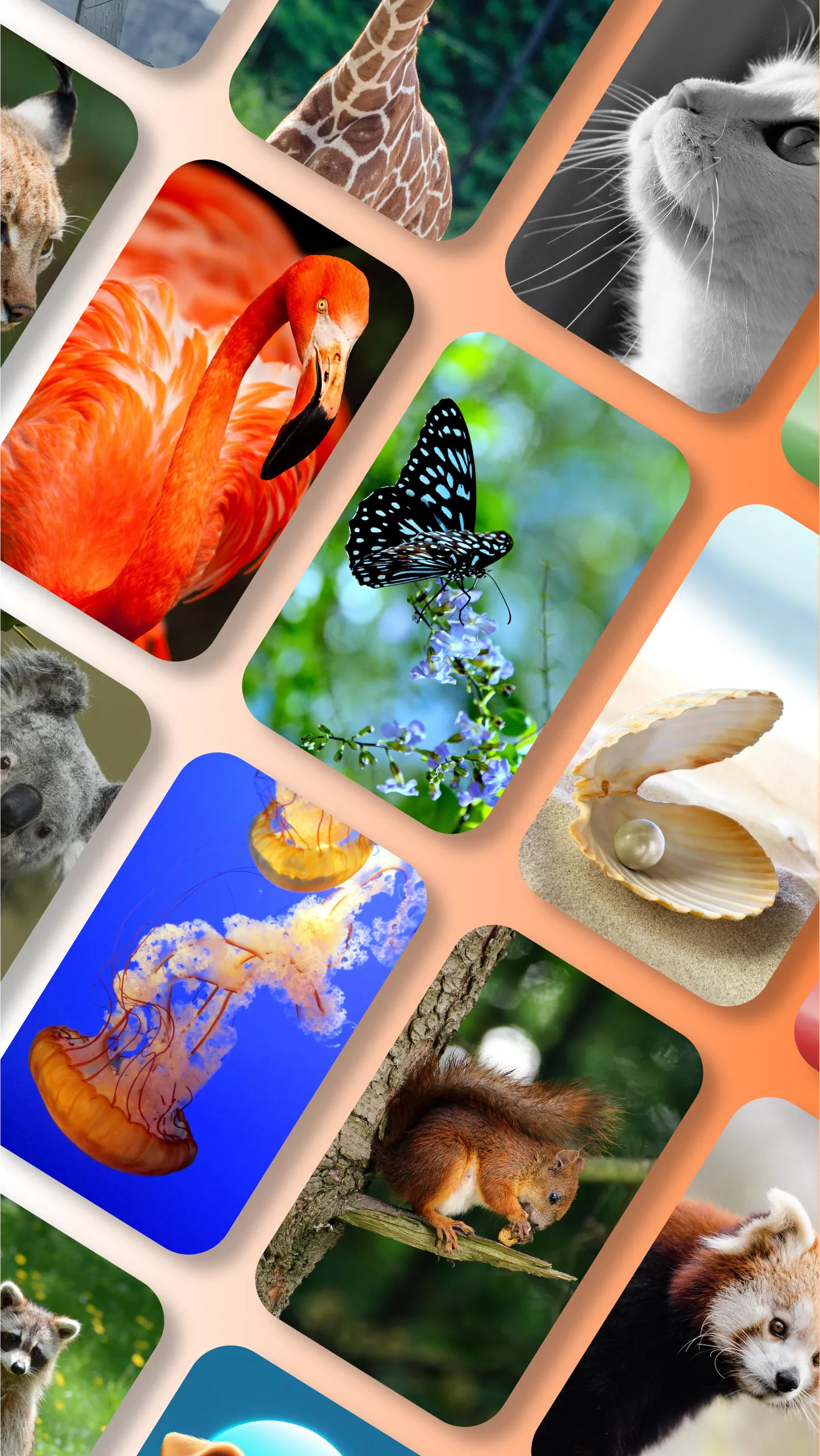 Pure Launcher - Pixel Edition | Indus Appstore | Screenshot