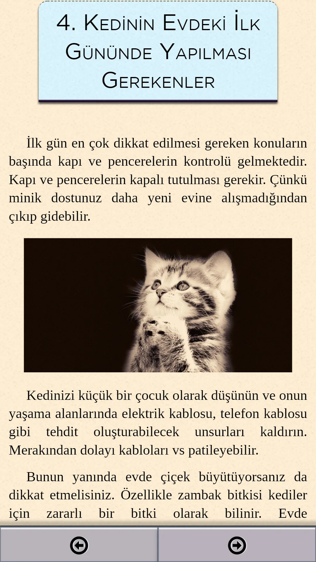 Kedi Bakımı | Indus Appstore | Screenshot