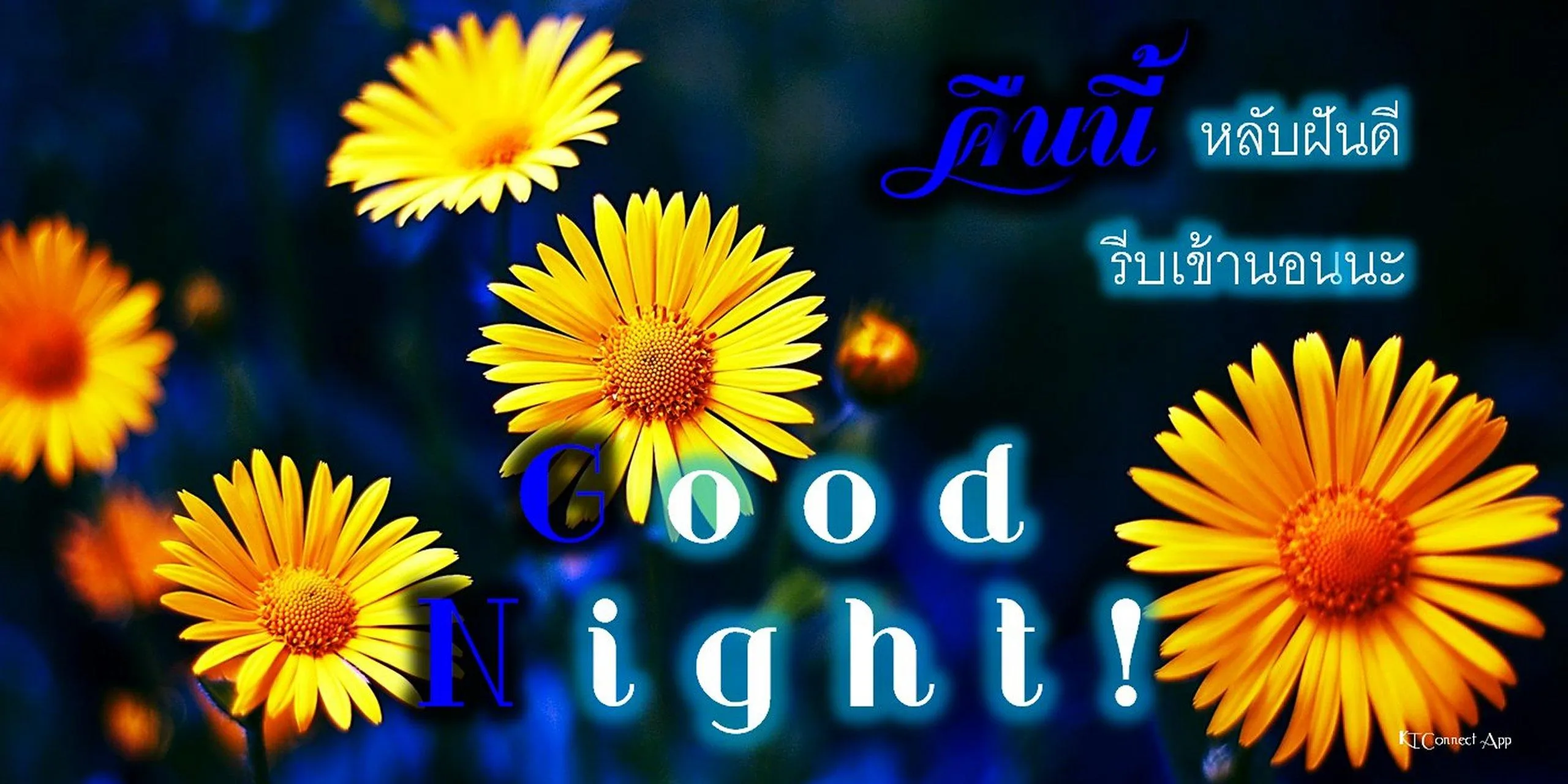 Good Night | Indus Appstore | Screenshot
