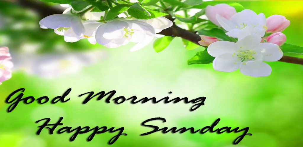 Happy Sunday GIF Greeting. | Indus Appstore | Screenshot