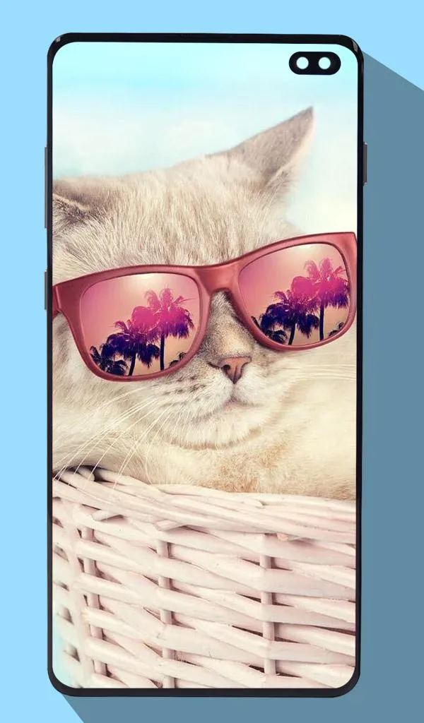 Cute Cat Wallpapers | Indus Appstore | Screenshot