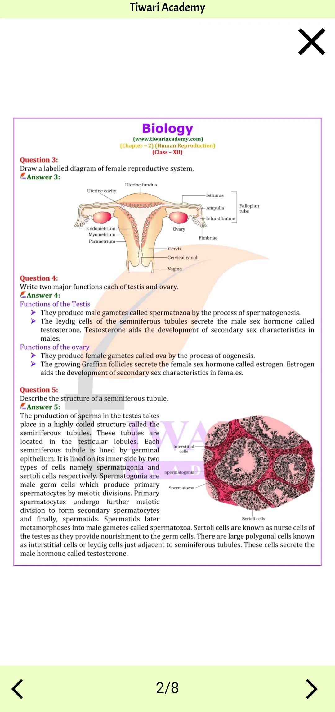 Class 12 Biology for 2024-25 | Indus Appstore | Screenshot