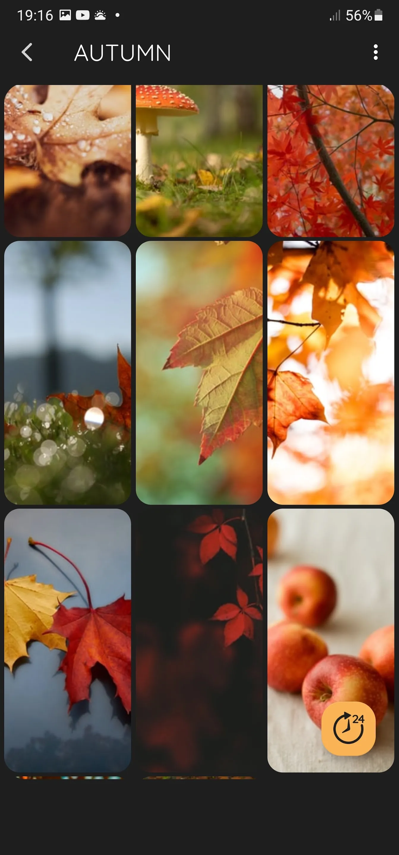 Autumn Theme for iWall | Indus Appstore | Screenshot