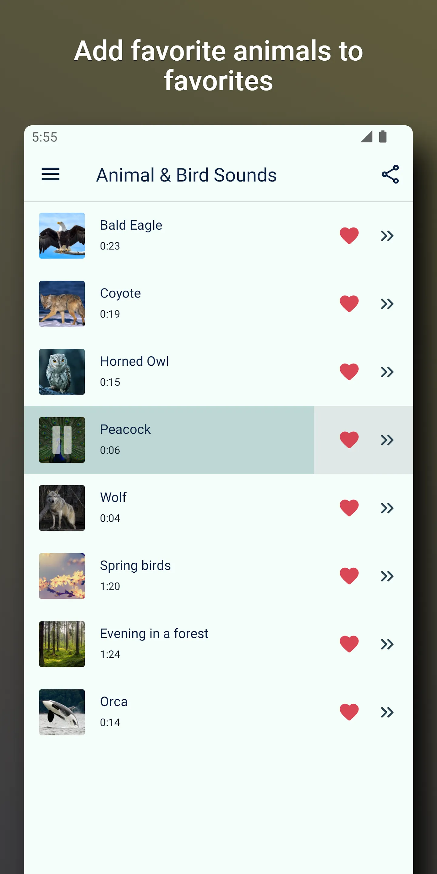 Bird and Animal sounds | Indus Appstore | Screenshot