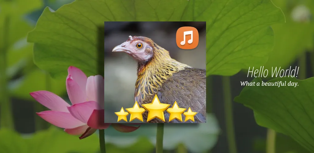 Female Red Junglefowl Sound HD | Indus Appstore | Screenshot