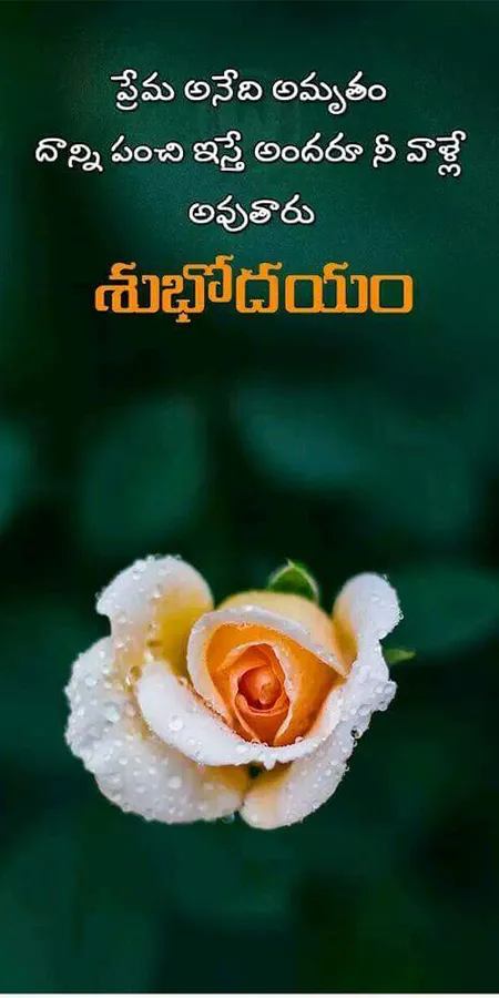 Telugu Good Morning Good Night | Indus Appstore | Screenshot