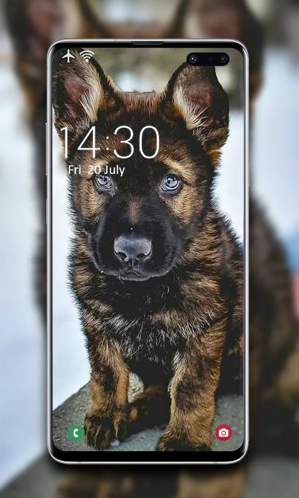 Puppy Wallpaper | Indus Appstore | Screenshot