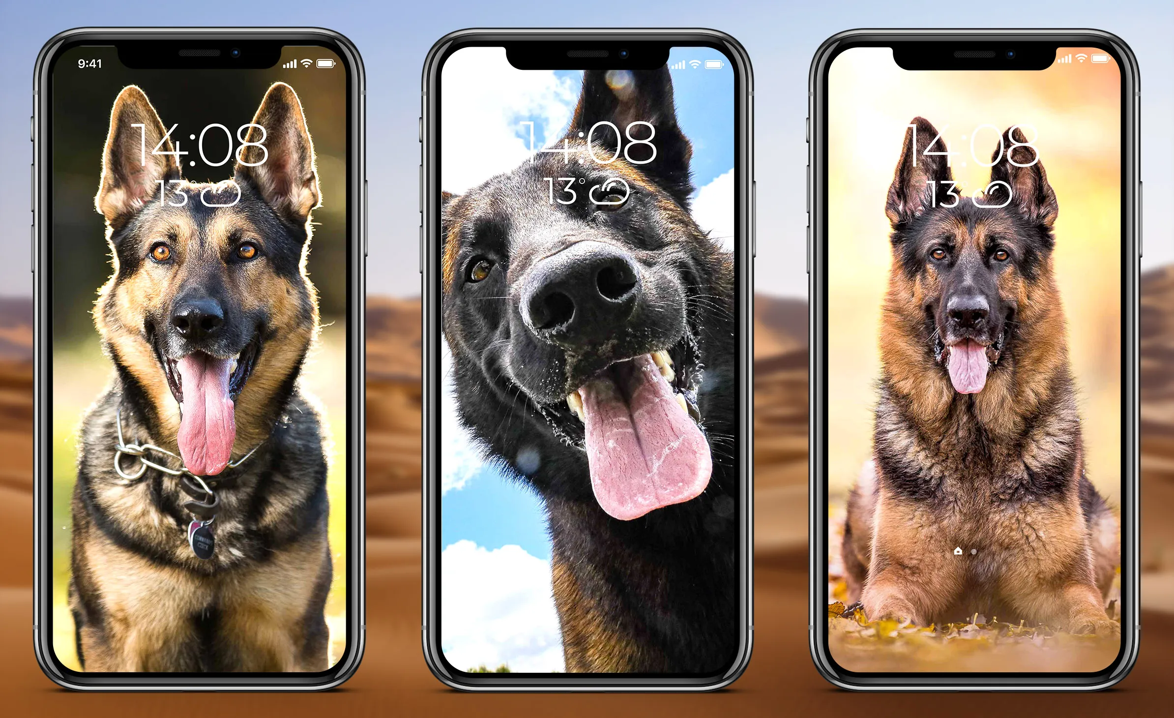 German Shepherd Wallpaper | Indus Appstore | Screenshot