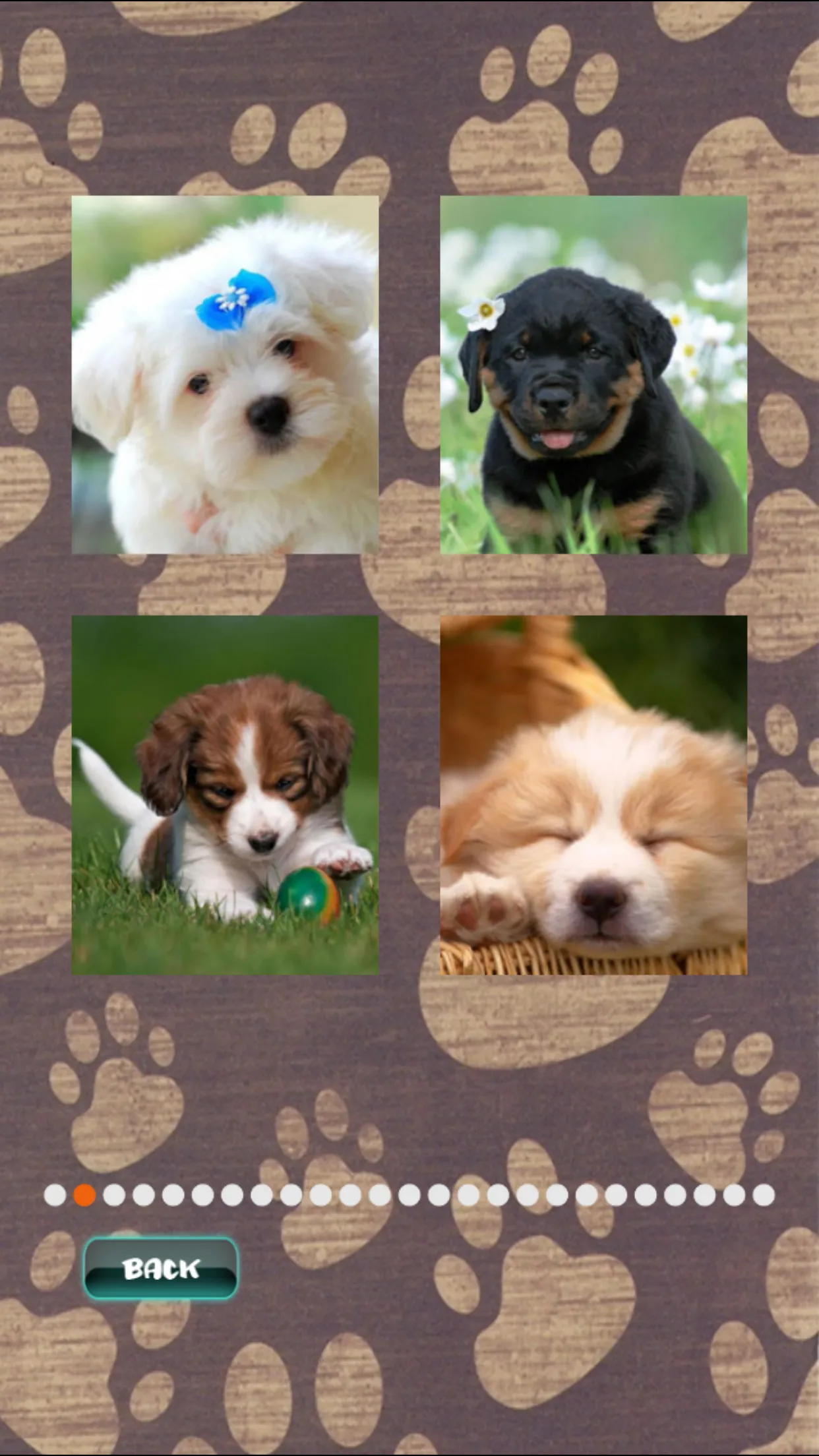 Cute Puppies Puzzle | Indus Appstore | Screenshot