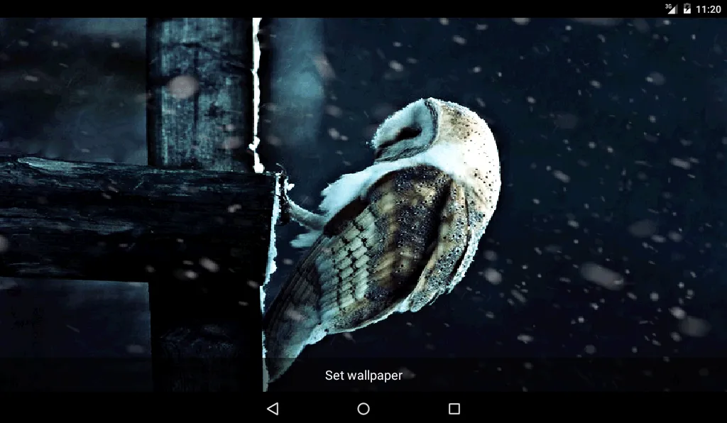 Sad Owl HD Livewallpaper | Indus Appstore | Screenshot