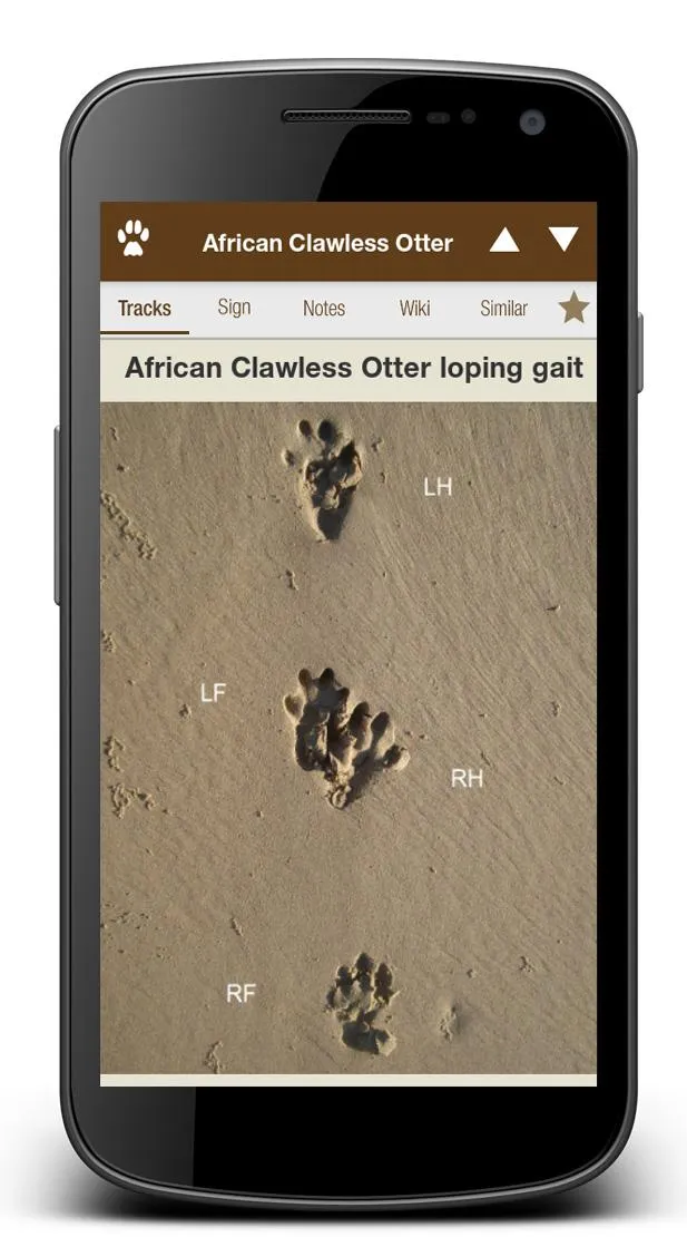 iTrack Africa Lite | Indus Appstore | Screenshot