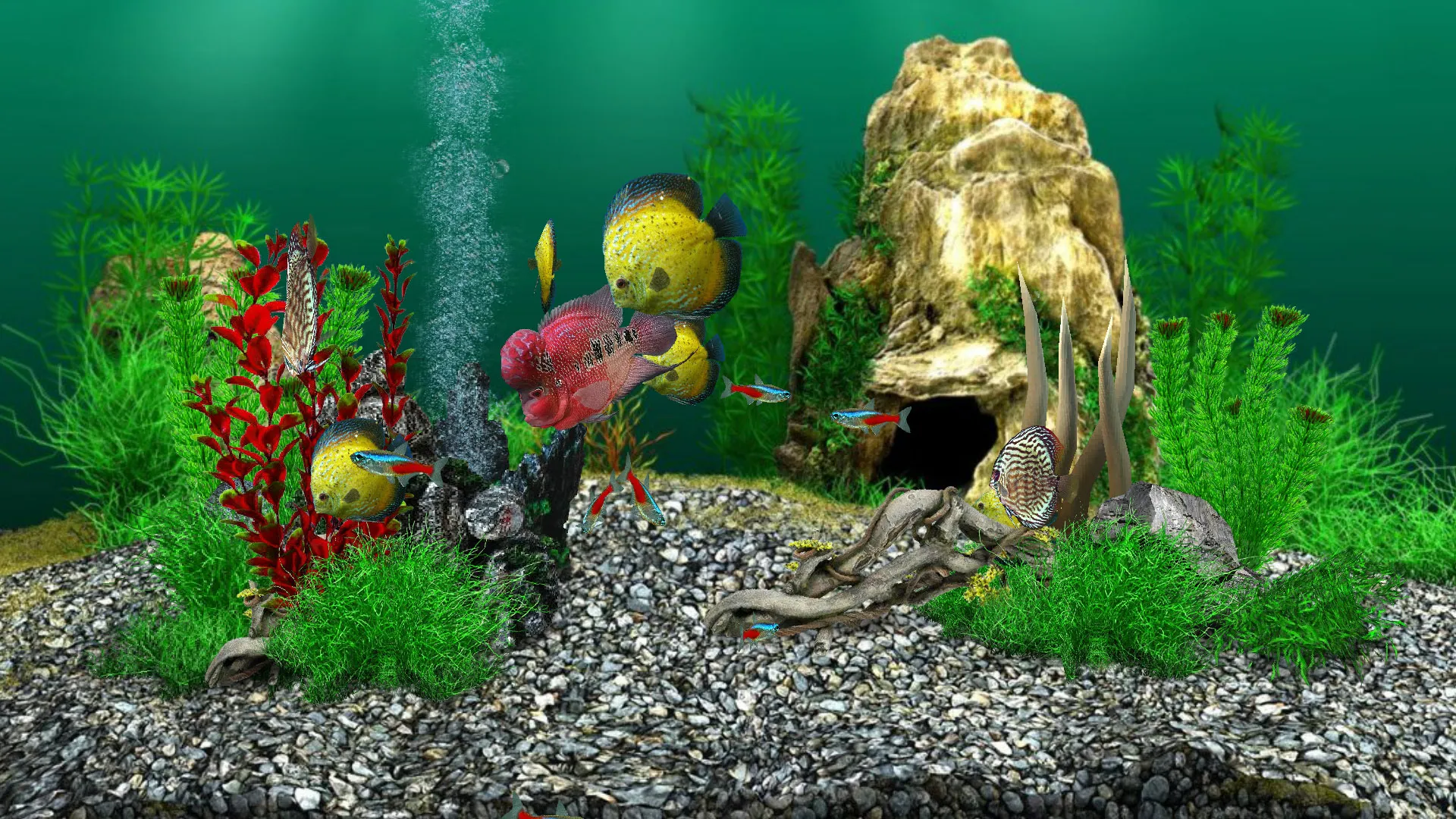 AquaLife 3D | Indus Appstore | Screenshot