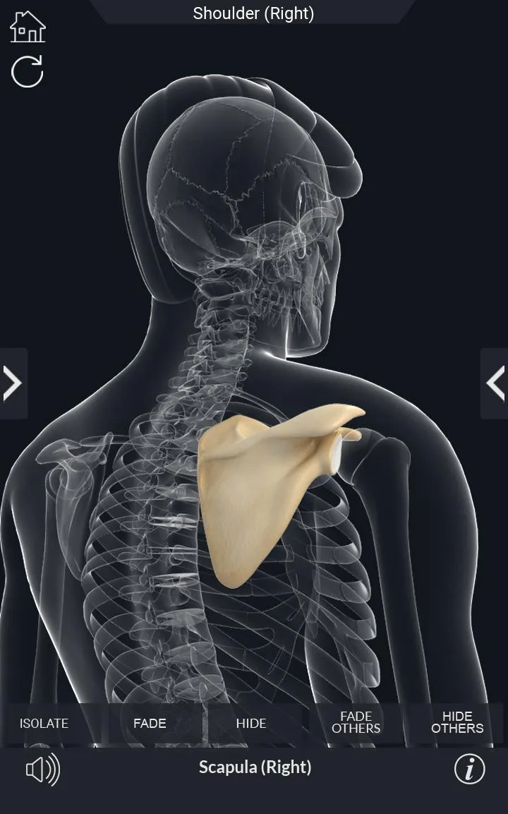 My Skeleton Anatomy | Indus Appstore | Screenshot