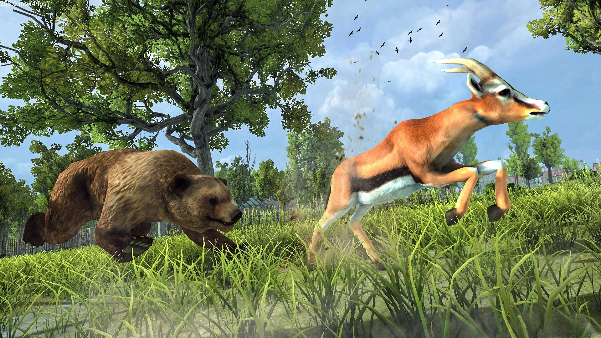 Wild Bear Attack Simulator 3D | Indus Appstore | Screenshot