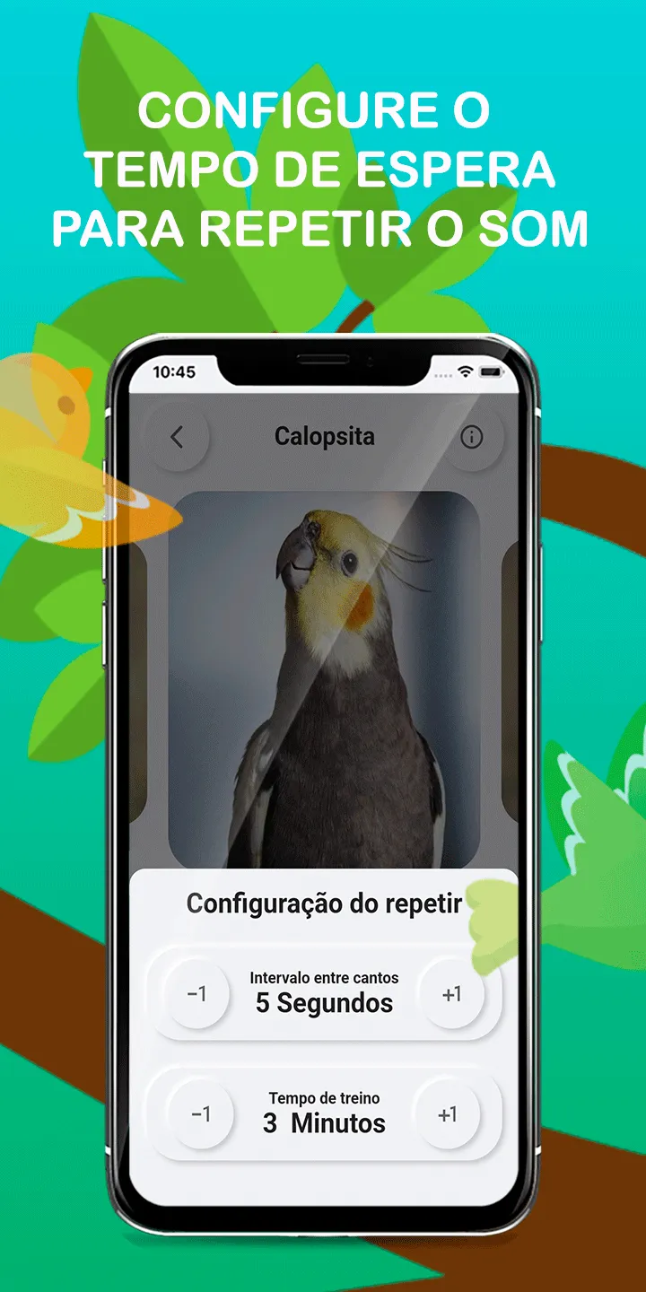 Songs of Calopsita | Indus Appstore | Screenshot