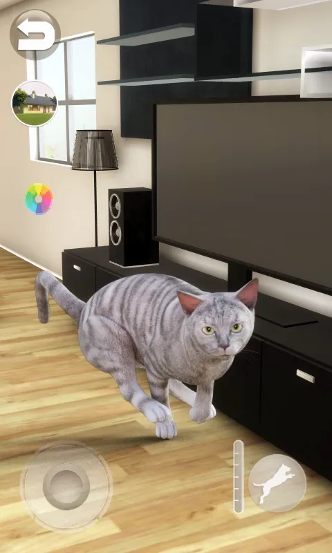 Talking Tabby Cat | Indus Appstore | Screenshot