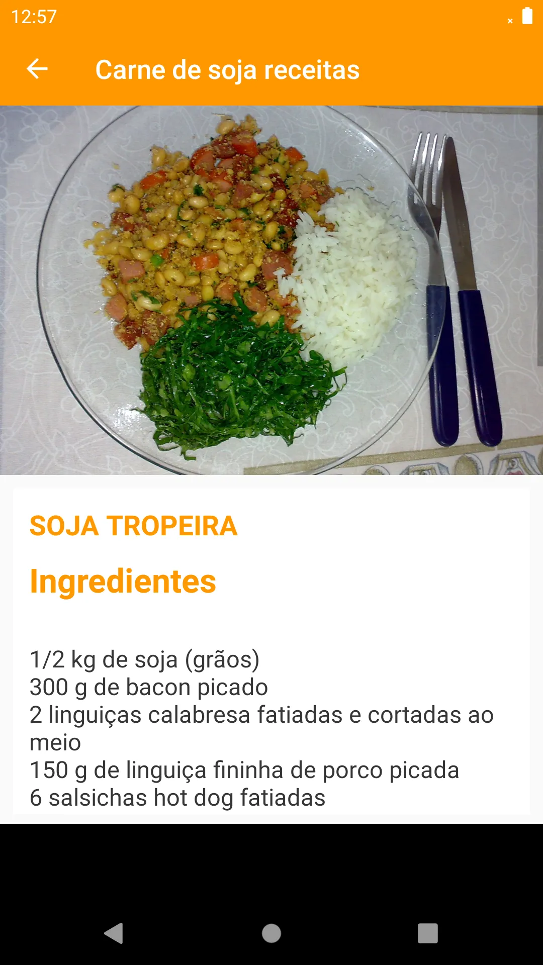 Receitas com Carne de soja | Indus Appstore | Screenshot