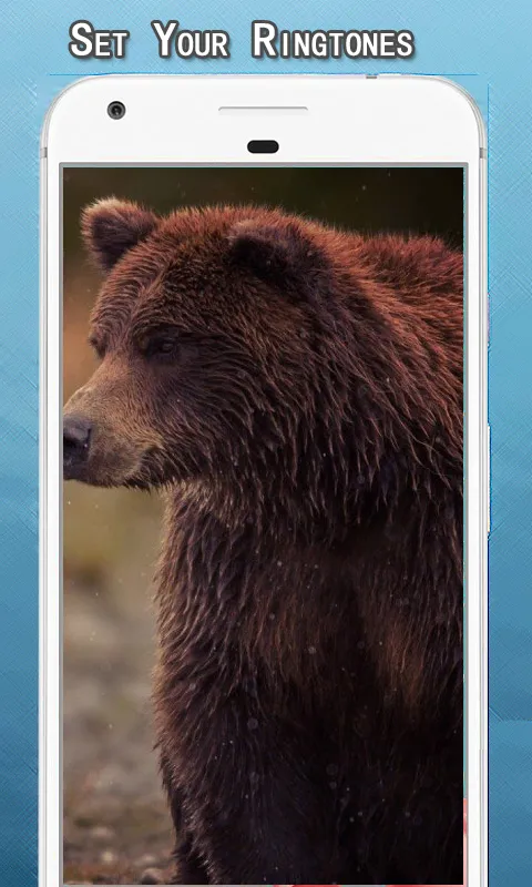 Wild Bear Sounds Ringtone | Indus Appstore | Screenshot