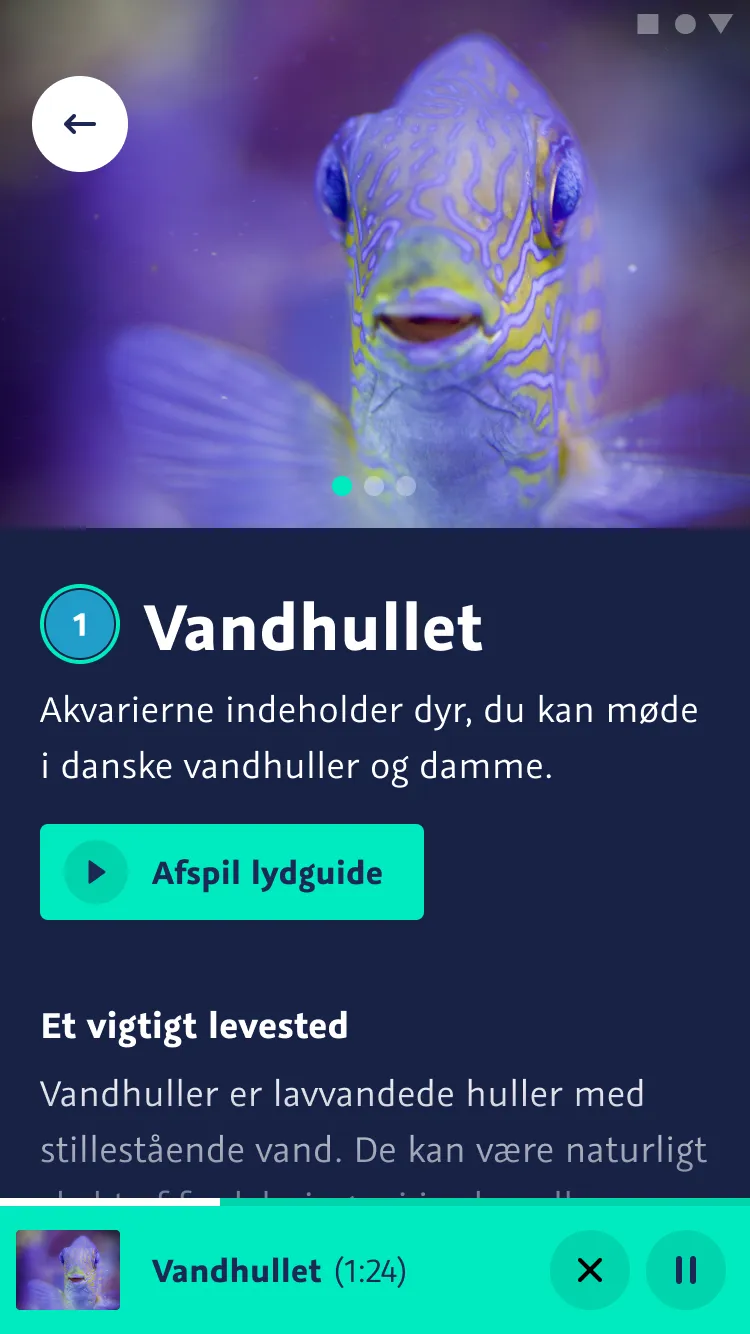 National Aquarium Denmark | Indus Appstore | Screenshot