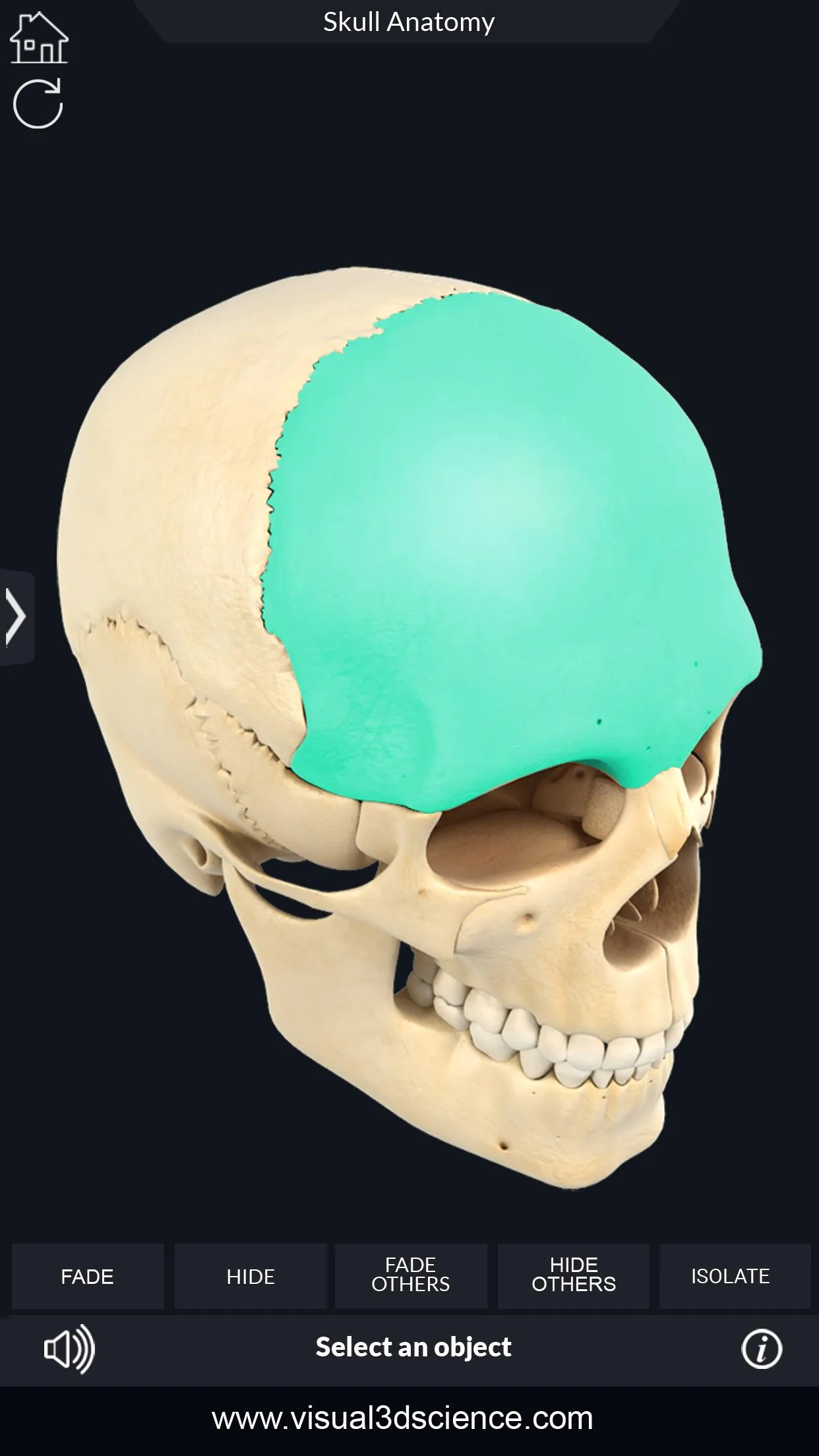 Skull Anatomy Pro. | Indus Appstore | Screenshot