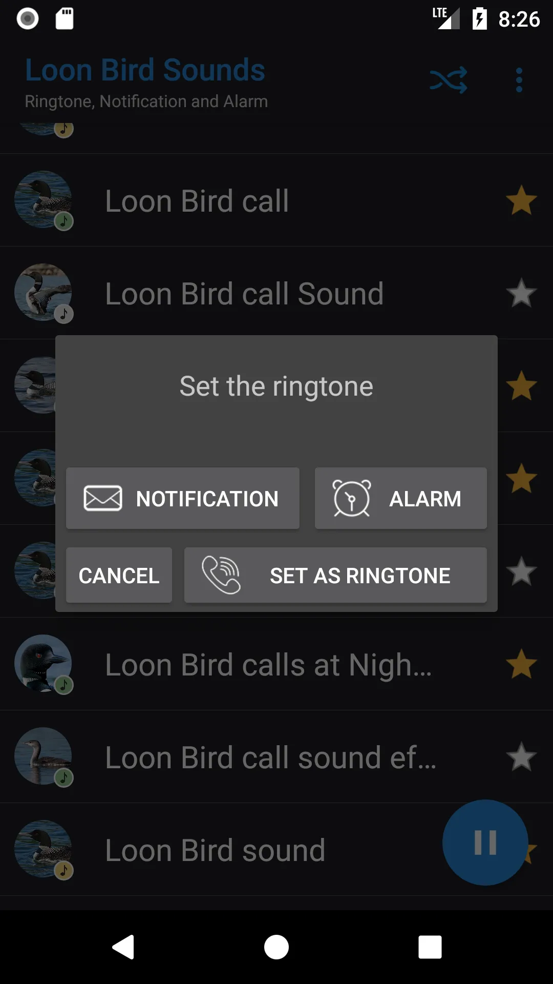 Loon Bird Sounds | Indus Appstore | Screenshot