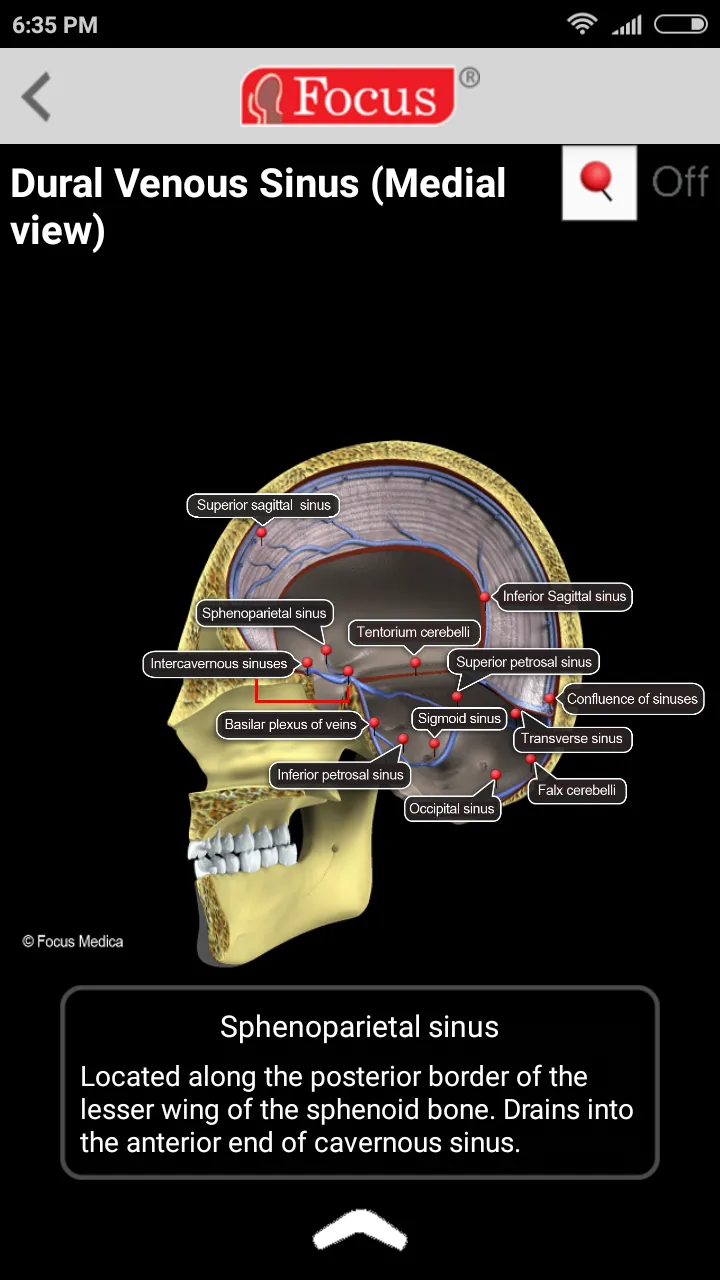 NEUROANATOMY - Digital Atlas | Indus Appstore | Screenshot