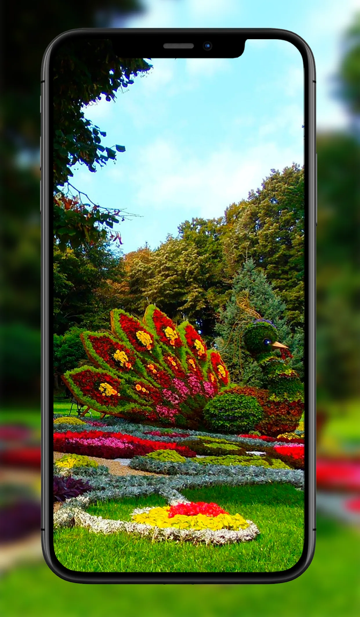 Garden Wallpapers | Indus Appstore | Screenshot