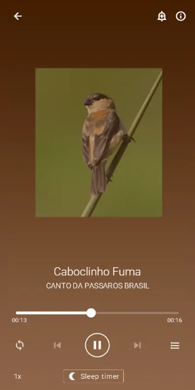 Canto Caboclinho | Indus Appstore | Screenshot