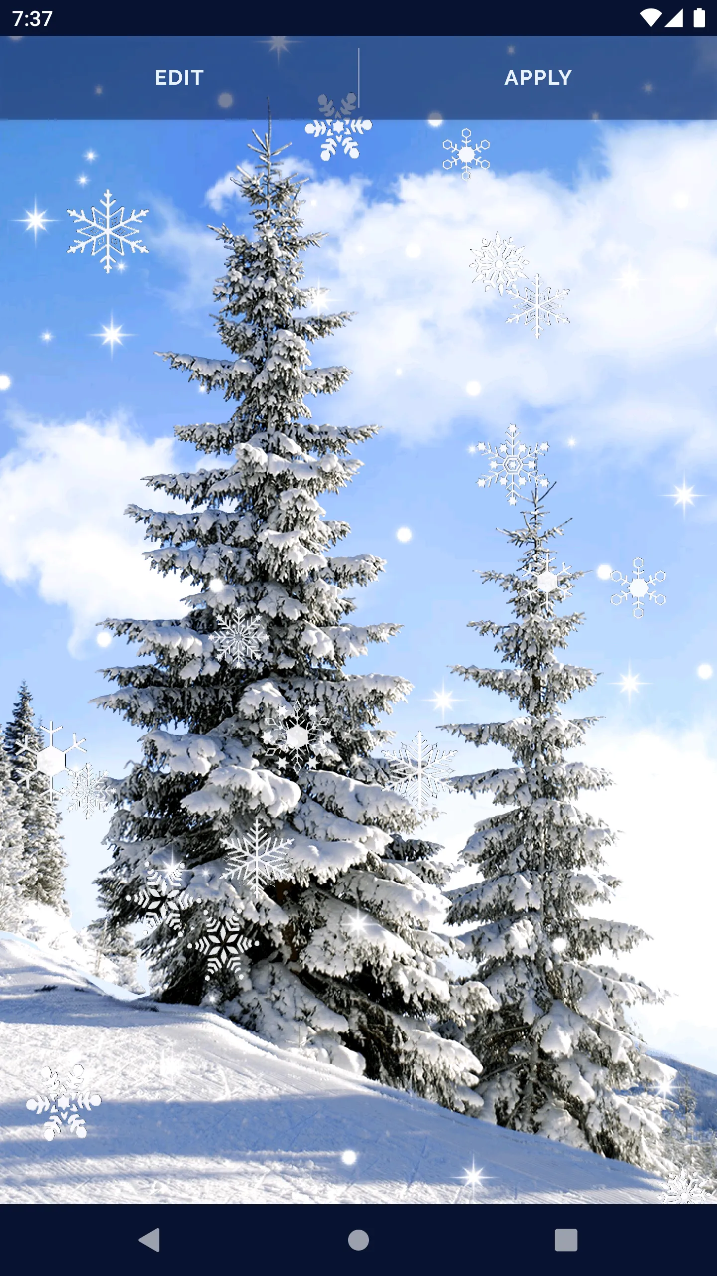 Winter Forest Snow Wallpapers | Indus Appstore | Screenshot