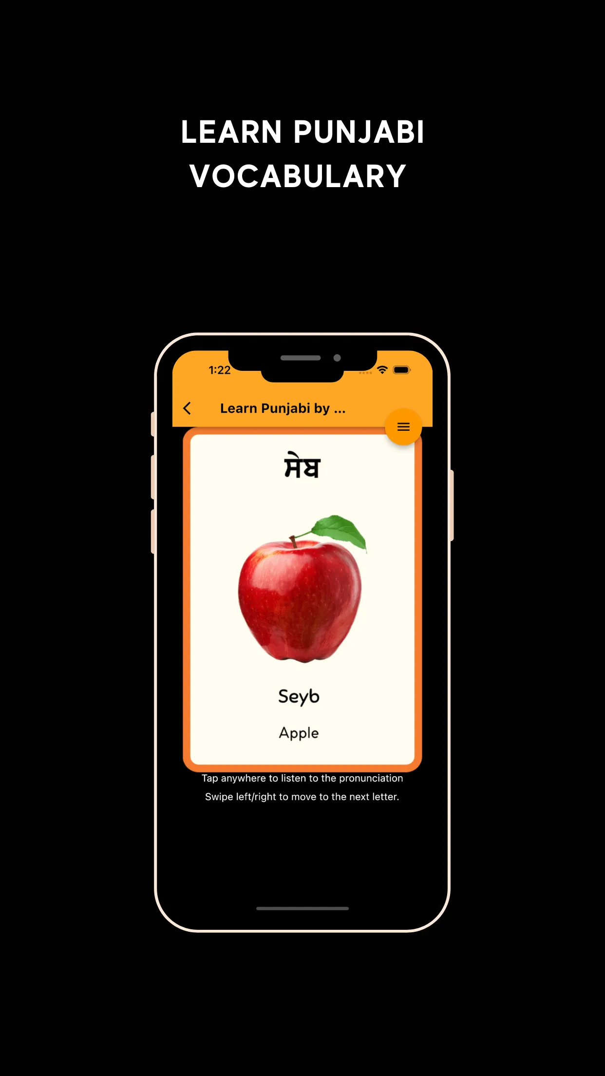 Learn Punjabi | Indus Appstore | Screenshot