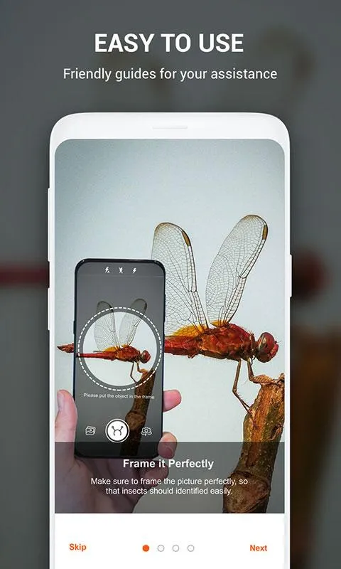 Insect identifier by Photo Cam | Indus Appstore | Screenshot