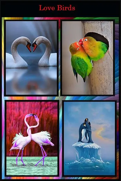 Romance Wallpaper | Indus Appstore | Screenshot