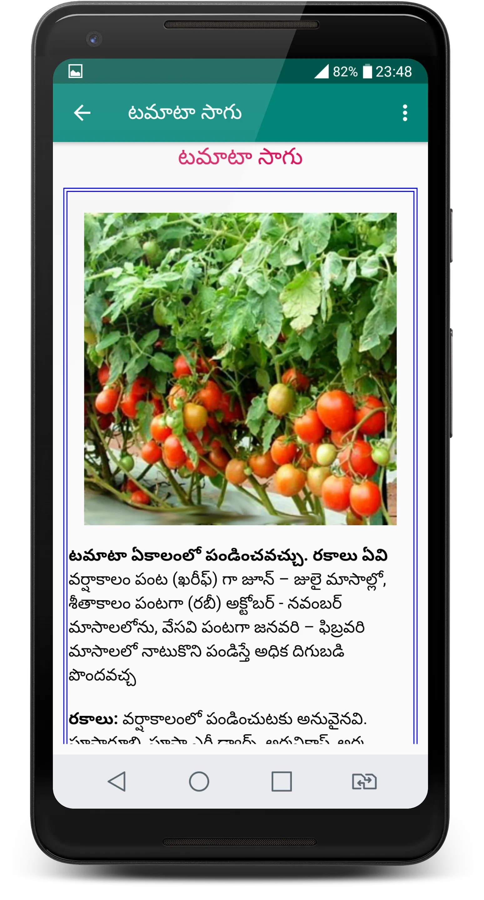 Mokkala Pempakam | Indus Appstore | Screenshot