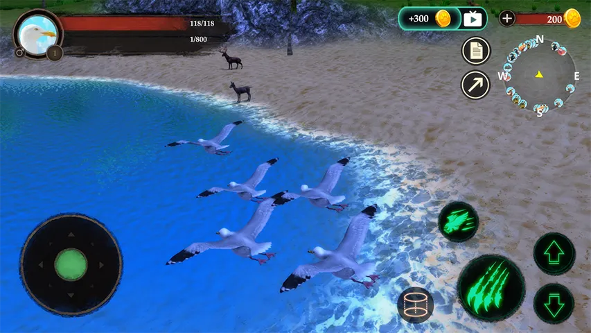 The Seagull | Indus Appstore | Screenshot