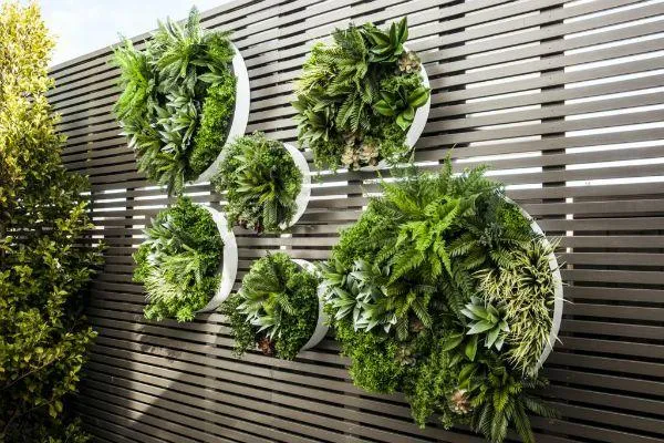 Vertical Garden | Indus Appstore | Screenshot