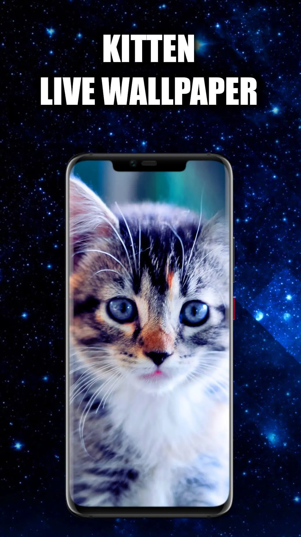 Kitten Wallpaper Live HD/3D/4K | Indus Appstore | Screenshot