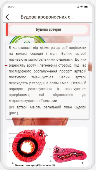 Human Anatomy. Angiology | Indus Appstore | Screenshot