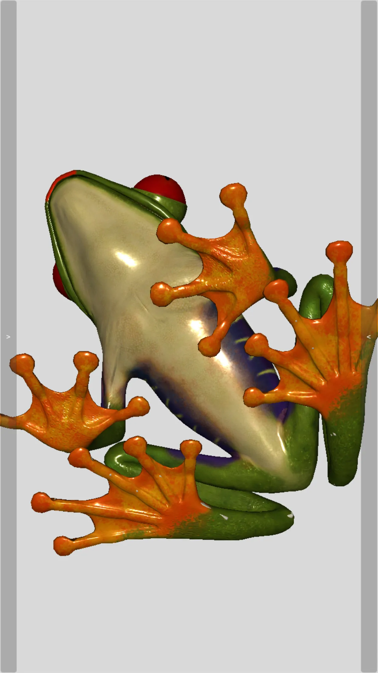 3D Frog Skeleton | Indus Appstore | Screenshot